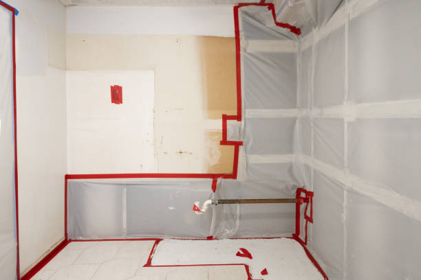  Greenville, DE Mold Removal Pros