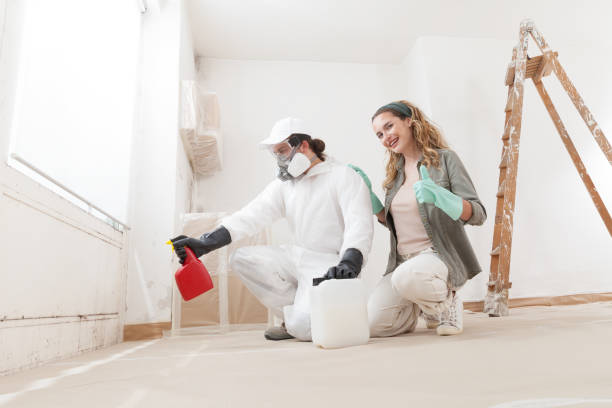 Best Attic Mold Removal  in Greenville, DE